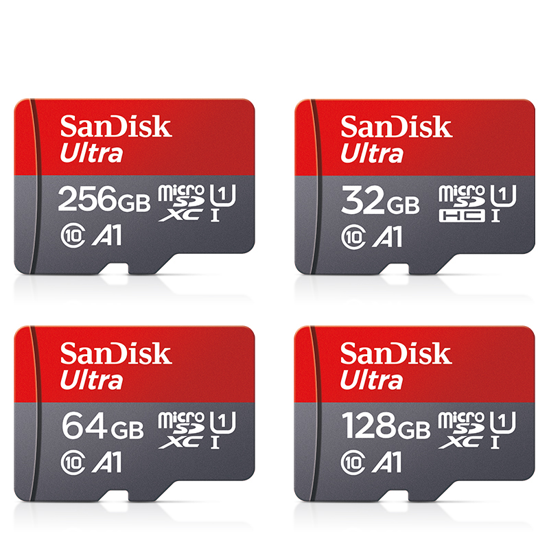 Sandisk-Carte m